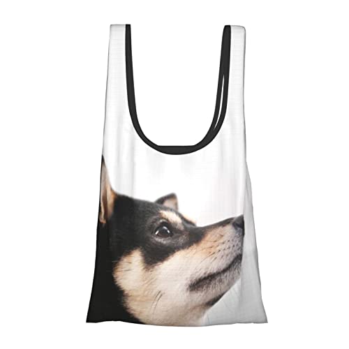 [Outfly] Č   GRobO VbsOobO h e ܂肽 RpNg W  y |PbgTCY Rrj Aj ObY LN^[ v[g Q176