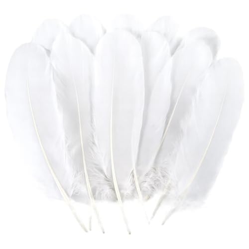 Qnvyw 150 Stück Weiße Federn zum Basteln Natürliche Gänsefedern zum Basteln Bastelfedern für Traumfänger Kostüme DIY-Bastelarbeiten Hochzeitsdekorationen Halloween Karneval (10-15 cm)