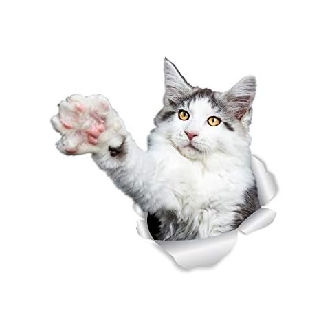 Winston & Bear Maine Coon Cat Wall Decals Cover