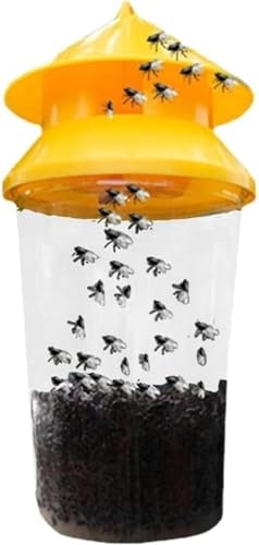 LamanttS~AnGAxCggbvAE܁AtCzC[AyʁARpNgAHiیALvpiAAEghApiAƒpiB (6 ACe)