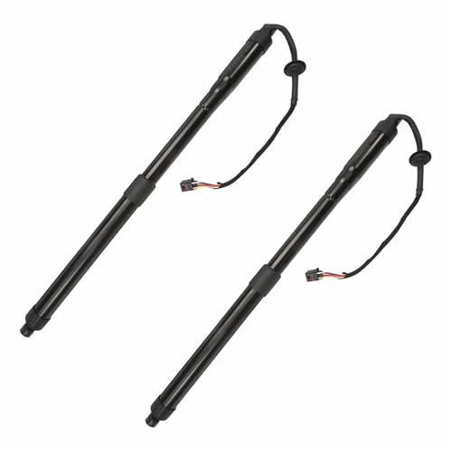 Vérins à gaz hayon électrique Hyundai Santa Fe 2013-2018 support levage 81771-B8100