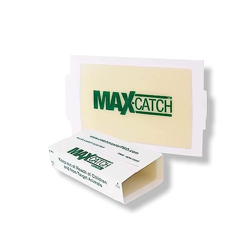 Catchmaster Max-Catch Mouse & Insect Glue Trap 36pk, Mouse Traps Indoor for Home, Sticky Pest Control Adhesive Tray for Catching Bugs, Bulk Classic Glue Boards