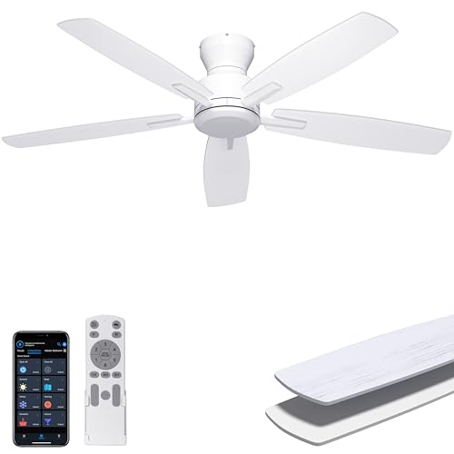 Ohniyou 52 Low Profile Ceiling Fan No Light for Indoor/Covered Outdoor