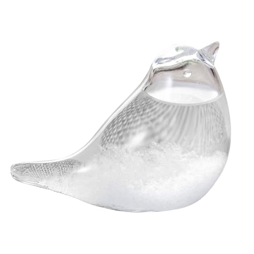 Verre tempête bouteille de prévision météo baromètre tempête décoration de table miniature verre prévision météo