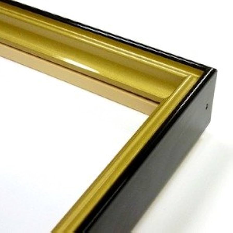 Amazon.co.jp: 【和額】黒い縁に金色フレーム 日本画額 色紙額