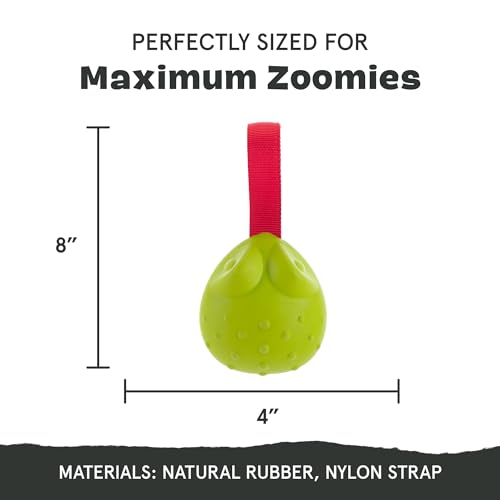 Image of BarkBox Tug Tied Toad Dog Toy | for Tough Chewers - Durable Rubber Design, Perfect for Tug-of-War
