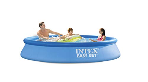 Intex 10 ft x 24 in Easy Set Pool Set