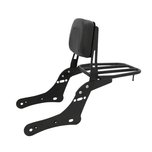 Dossier arrière de moto haut de gamme avec porte-paquet pour S650