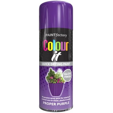 Purple Gloss Interior & Exterior Spray Paint 250ml Cover