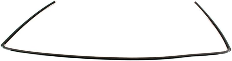 Front Windshield Moulding Seal Compatible for BMW E46 325i, 330i, 328i, 1999-2005, Black Plastic Exterior Trim, OEM 51318196162, Direct Fit Replacement, 1pc