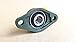 Pillow Block Bearing, Bearing Steel hickened Mounted Self Aligning Rhombic Bearing3/4 inch 2 Bolt Pillow Block Flange Bearing, Self-Alignment, Brand New(2 Pack -UCFL204-12)