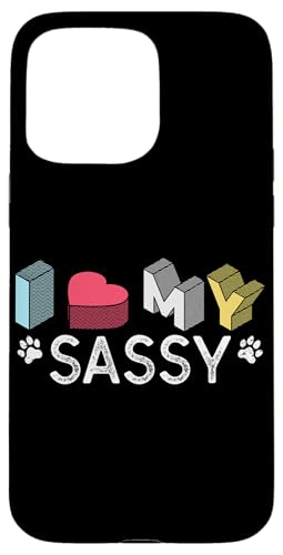 Sassy �p�[�\�i���C�Y�h ���̖��O ���ӋC�ȃy�b�g���D�� �X�}�z�P�[�X iPhone 15 Pro Max �p