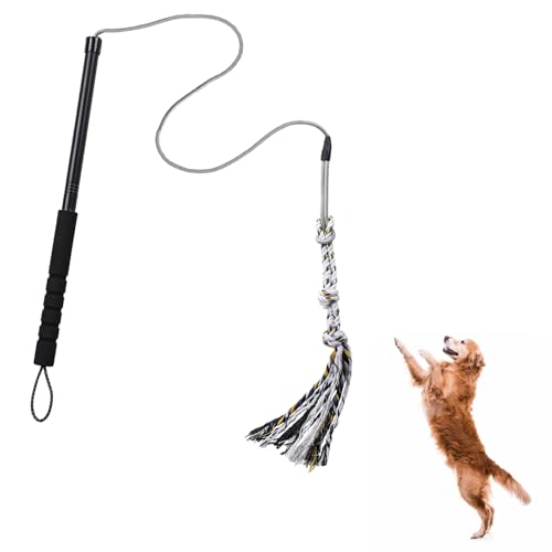 Pragmatist Outdoor Flirt Pole for Dog, Detachable Dog Flirt Pole Heavy Duty Sturdy Pet Toys for Outdoor Exercise & Training Durable Teaser Wand Interactive Chewing Toy for Small Medium Dogs, Black