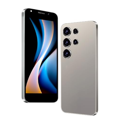DEMANN GMBH Téléphone déverrouillé, écran de 6,3 Pouces, 2GB RAM + 16GB ROM/TF 128GB, 2MP +...