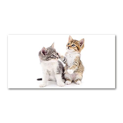 Crédence de cuisine fond de hotte en verre sécurit 100x50cm motif chat beige
