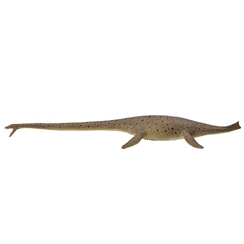 Thalassomedon Collecta Deluxe 1:40 figurine de dinosaure marine pour collectionneur