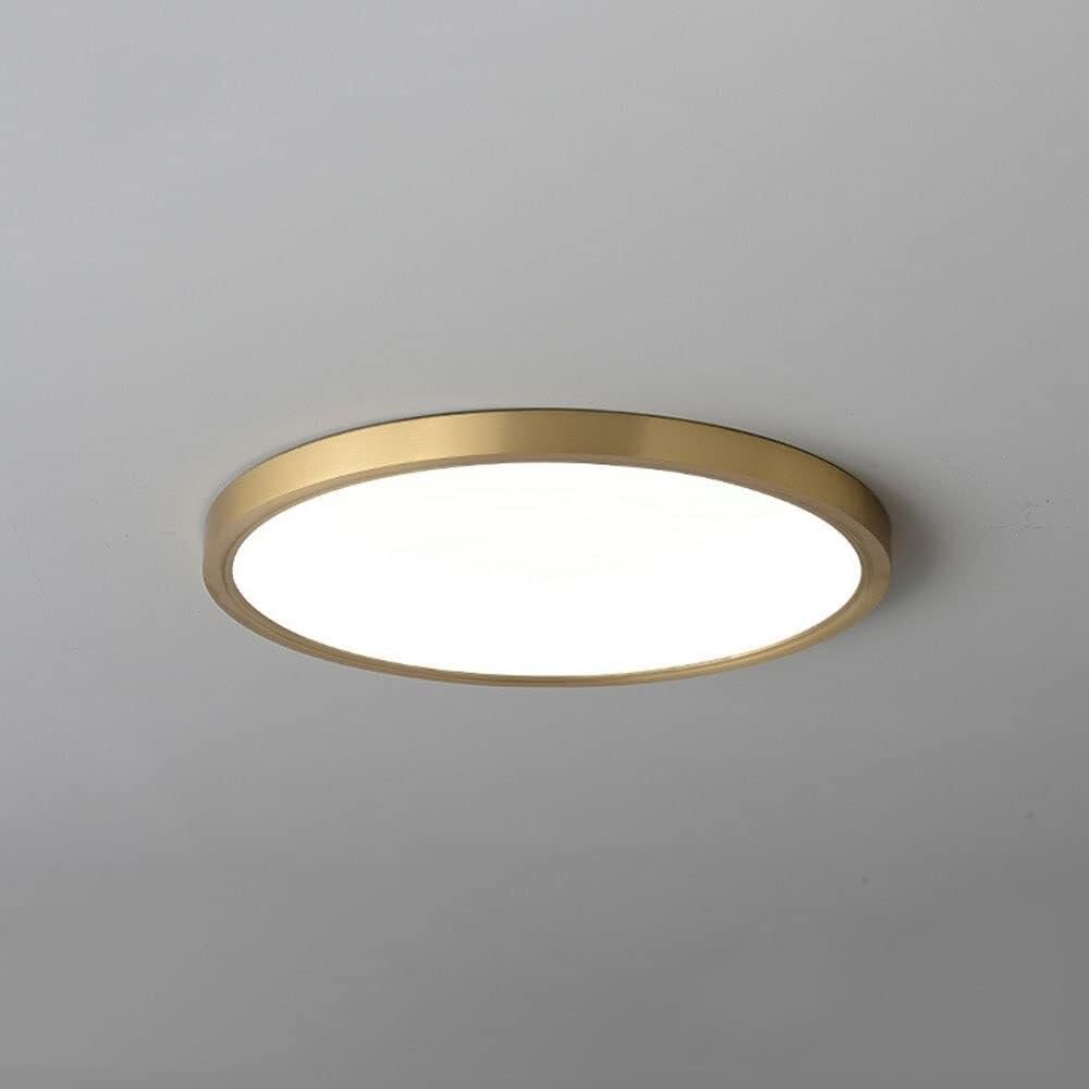 LYOUAE Nordic Minimalist Acrylic Ceiling Lamp 3-Color Dimming Ultra-Thin Ceiling Light Brass Base Semi Flush Mount Ceiling Light