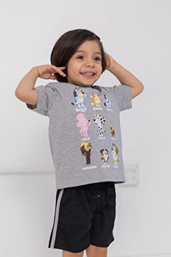 Image of Bluey T-Shirt and Mesh Shorts Outfit Set Infant to Big Kid Sizes (12 Months - 10-12)