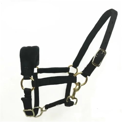 Licol pour chevaux de box équipement équestre pour sécuriser le pansage et le transport