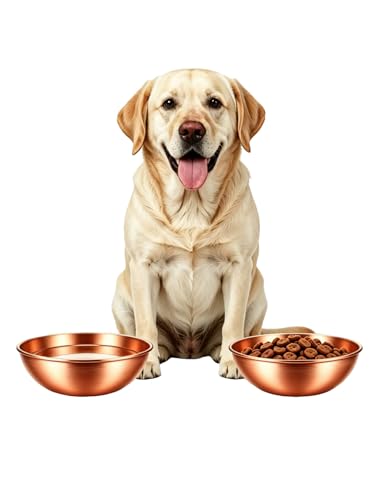 PurCoperx 8.66 Inch Large Round Hand Forged Pure Solid Copper Pet Bowl, Heavy Duty Dog Copper Bowl for Food & Water, Premium Feeding Copper Bowl for Dogs Cats & All Household Pets (2)