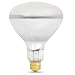 Feit Electric 400R/FL 400-Watt R40 120-Volt Pool/Spa Flood Reflector