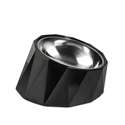 10 Best Slanted Dog Food Bowl