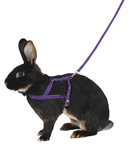 Kerbl Pet Schultergeschirr Agility mit Leine, 2m, lila, M
