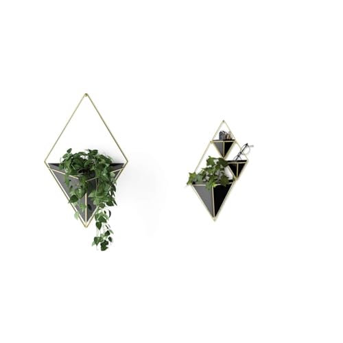 Umbra Trigg Large and Small Wall Display Planters