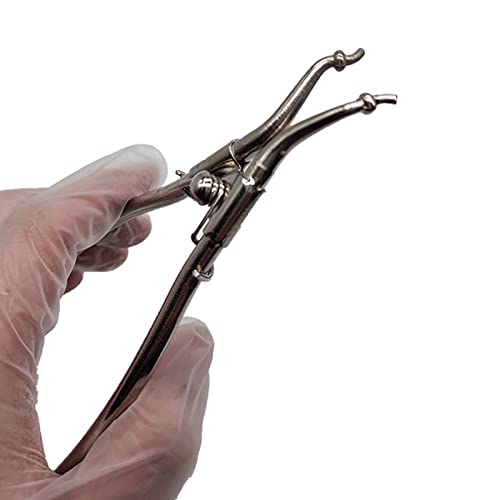 Dental Orthodontic Instrument Plier, Matrix Band Dentist Forceps Forming Clip Rearming The Moulding Plate Shaped 1 Pcs #TOP6