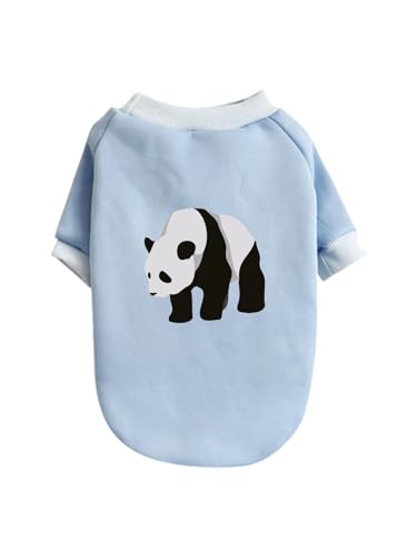  WCAgp_ ybg hbOEFA ̕ L ybgEFA h _炩 іh~   t@bV U ybgpi