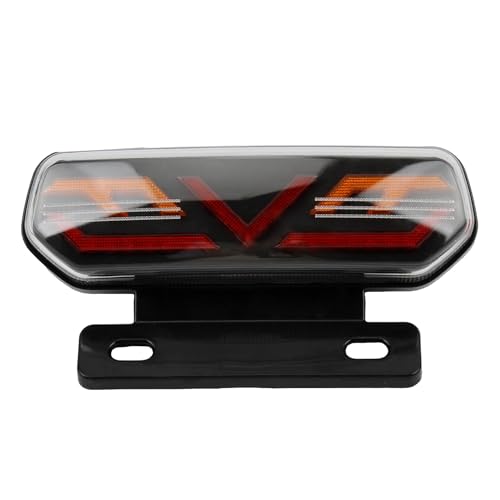 Luz trasera para motocicleta 12V con freno y señal de giro para motocross