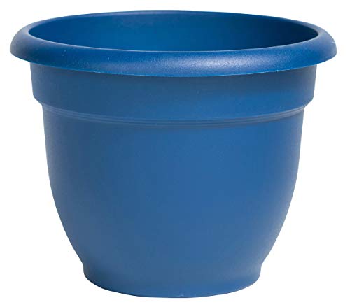 Bloem Ariana Self Watering Planter 8' Classic Blue (AP0833)