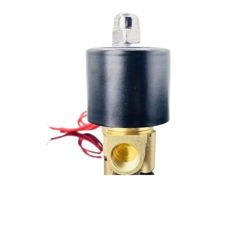 Électrovanne DN25 AC220V normalement fermée pour contrôle d'eau - 6