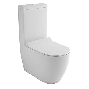 Alpenberger staande toilet met spoelbak en Geberit spoelgarnituur, afneembare wc-bril met softclosemechanisme…