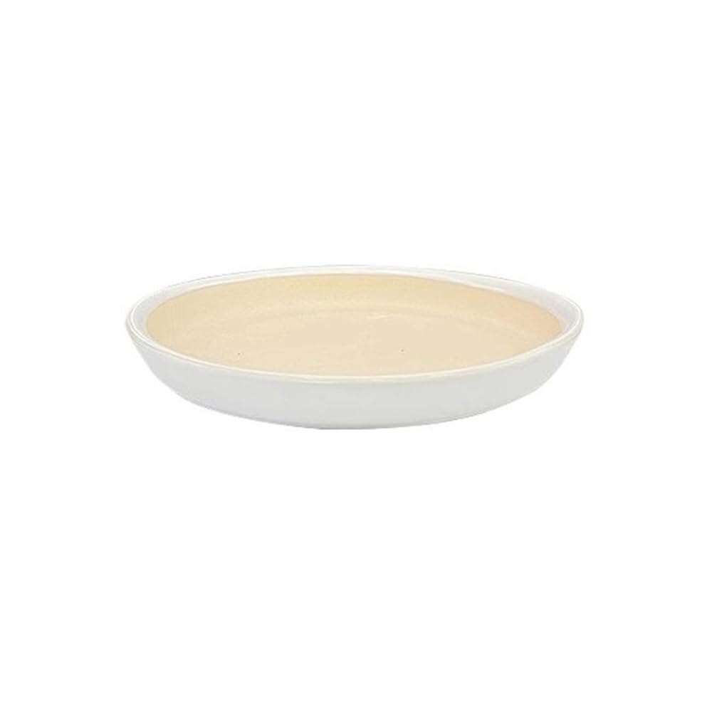 Soucoupe en céramique de style simple pour sublimer votre salon