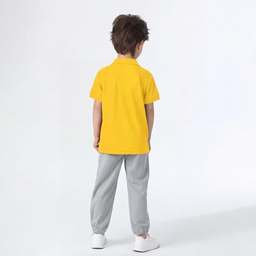 Image of Boy Polo Shirt Pique School Uniform Shirt for Kid Golf Top Youth Boy 5-14Y