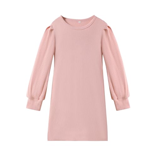 DREAM BUS Toddler Girl Casual Dress Long Sleeve Kint Sweater Dress Kids Fall Winter Mini Dress Special Occasion Dress