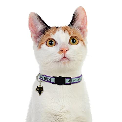 Image of 2 Pack Glow in The Dark Cat Collar with Bell Breakaway Safety Cat Puppy Collars with Pendant Purple and Light Blue