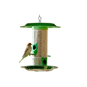 Amijivdaya Medium Bird Feeder with hut Pack of 1