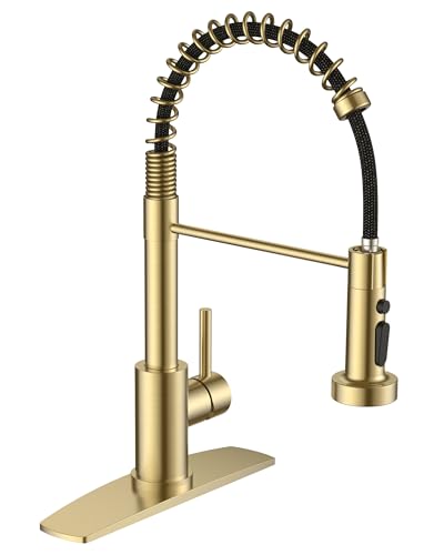 FORIOUS Gold Stainless Steel Kitchen Faucet with Sprayer