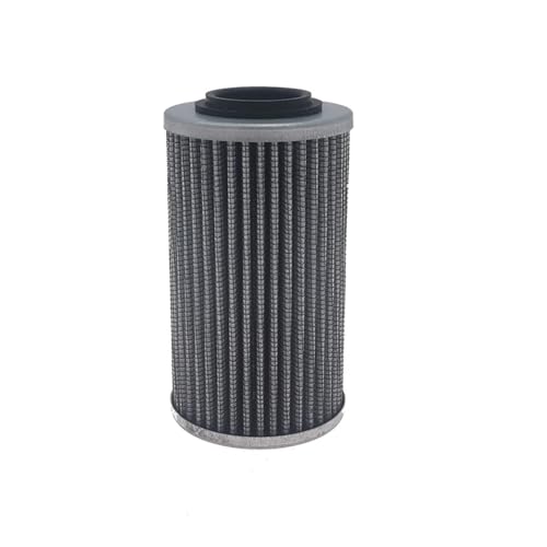 Filtro de aceite 420956744 kit de dos piezas de recambio motor
