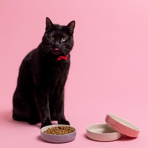 Mason Cash Color Mix Katzennapf, 13 cm, Grau