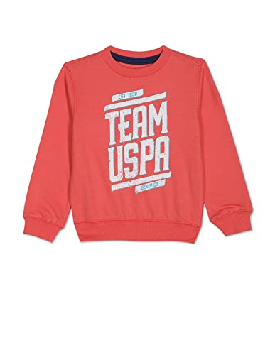 Image of U.S. POLO ASSN. UKSWSON0106 FS Round NCK SWS, EXS Sweatshirts Coral