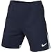 Nike Womens DRI-FIT Classic II Soccer Short (X-Small, Wolf Grey)