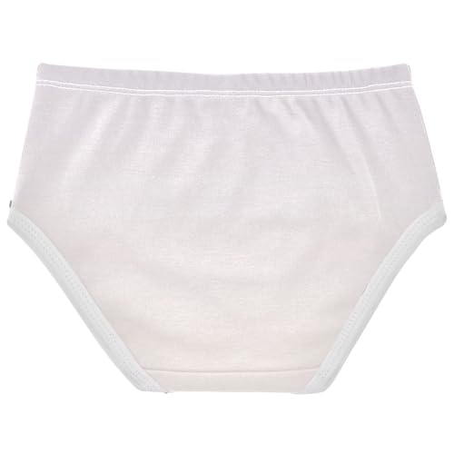 Joisal Cotton Toddler Underwear Floral Gradient Light Ombre Cute Panties Girl Bright Kids Briefs Undies 2t2