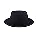 Christian Siriano New York Fedora Hat, Wool Felt Pork Pie Wide Brim Fashion Hat for Men and Women, Black, One Size