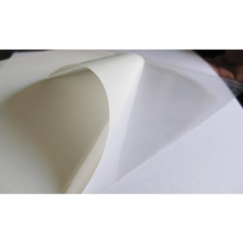 Papel de arroz e impresiones comestibles para decorar tartas y proyectos culinarios 4