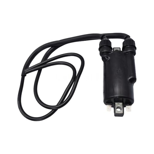 Bobine d'allumage de moto 12 V CDI : résout les pannes de démarrage VT 600