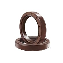Brown FKM Framework Oil Seal TC Fluoro Rubber Gasket Rings Cover Double Lip with Spring for Bearing Shaft,ID*OD*THK 60/62-68mm60x90x81pcs