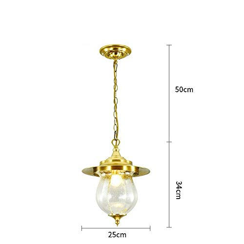 Ceiling hanging lamp pergola lustre suspendu extérieur vintage E27 - 7